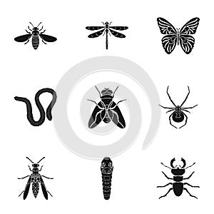 Insects set icons in black style. Big collection of insects vector symbol stock illustration