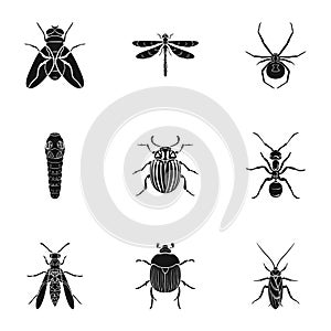 Insects set icons in black style. Big collection of insects vector symbol stock illustration