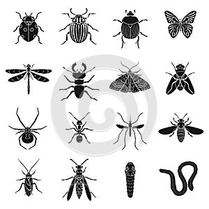 Insects set icons in black style. Big collection of insects vector symbol stock illustration