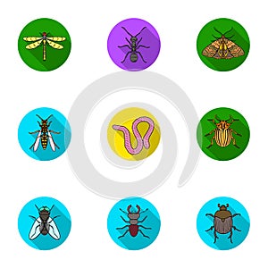 Insects set icons in flat style. Big collection of insects vector symbol stock illustration