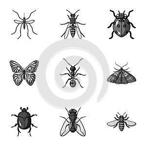 Insects set icons in monochrome style. Big collection of insects vector symbol stock illustration