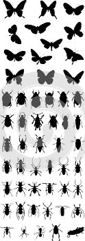 Insects silhouette 1 (+ vector)