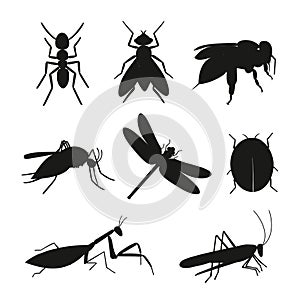 Insects silhouette vector set