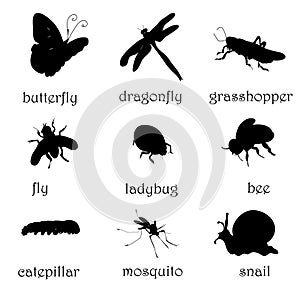 Insects Silhouettes Set