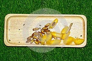Insects Silkworm on tray.