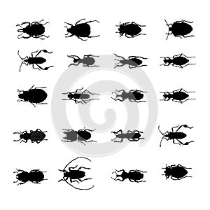 Insects various silhouettes vector