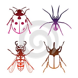 Insects vector photo