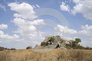 An Inselberg in Tanzania photo