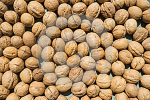 Inshell walnuts background. View from above.