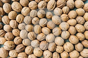 Inshell walnuts background. View from above. background of nuts