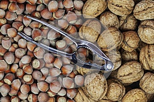 Inshell walnuts and hazelnut, view from the top