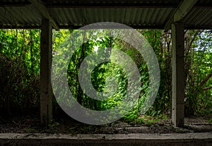 Inside an abandoned industrial building