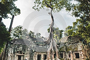 Inside the ancient Temples of Angkor Wat of Cambodia