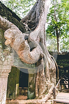 Inside the ancient Temples of Angkor Wat of Cambodia