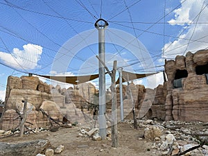 Inside the aviary with birds of prey photo