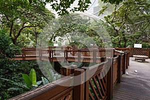 Inside the aviary at the Hong Kong Park