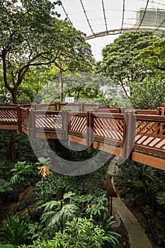 Inside the aviary at the Hong Kong Park