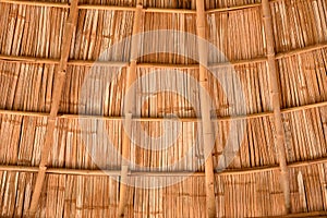 Inside a bamboo shingle roof