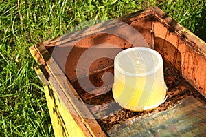 Inside of beehive container with sweet syrup for feeding bees