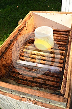 Inside of beehive container with sweet syrup for feeding bees