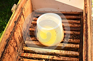 Inside of beehive container with sweet syrup for feeding bees