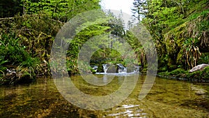 Inside black forest river little waterfall in background