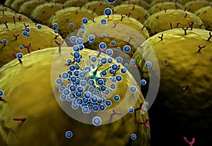 White blood cells inside the blood vessel