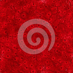 Inside body (Seamless texture)