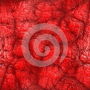 Inside body 2 (Seamless texture)