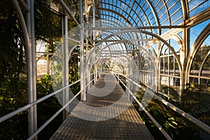 Inside the Botanical Garden of Curitiba