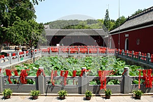 Inside Chinese Buddhist Temple