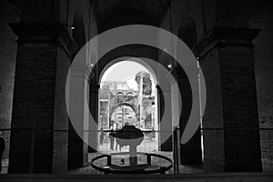 Inside Colosseum is a large amphitheatre in the city of Rome.