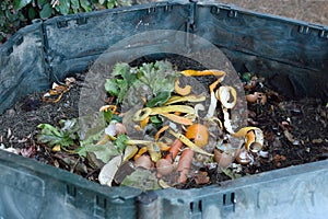 Inside of a composting container