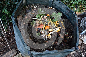 Inside of a composting container photo