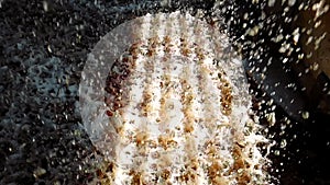 Inside the cooling tower. Water inside the cooling tower. Water droplets inside a cooling tower in a factory