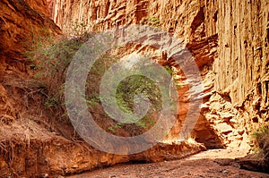 Inside of dry sandstone Konorchek canyoun.