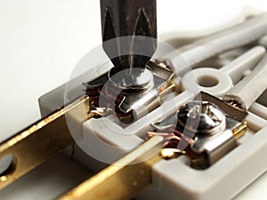 Inside electrical plug