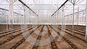 Inside of empty greenhouse on a sunny day for preparing the soil for sowing.