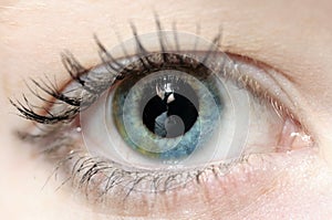 Inside the eye