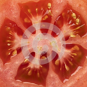 Inside of a fresh red tomato full frame close up