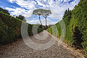 Inside the garden of Boboli