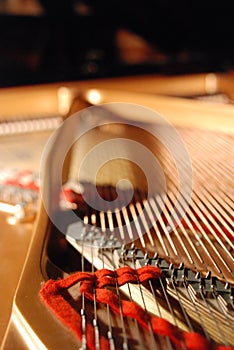 Inside a grand piano