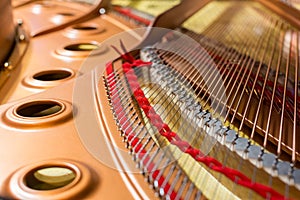 Inside of a grand piano
