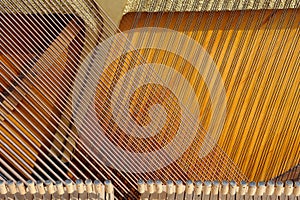 Inside of grand piano showing string upright