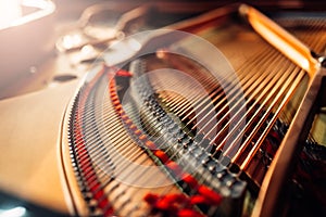 Inside grand piano, strings closeup, nobody photo