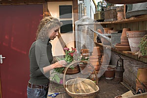 Inside the greenhouse