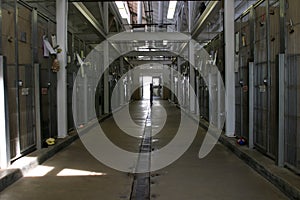 Inside the hallway of an animal shelter showing cages photo