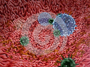 Phagocyte kills viruses photo