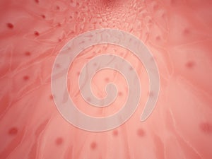 Inside of human vessel