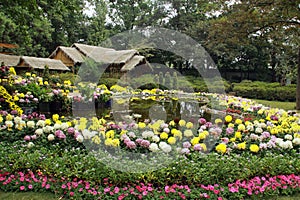 Inside The Humble  Administrators Garden